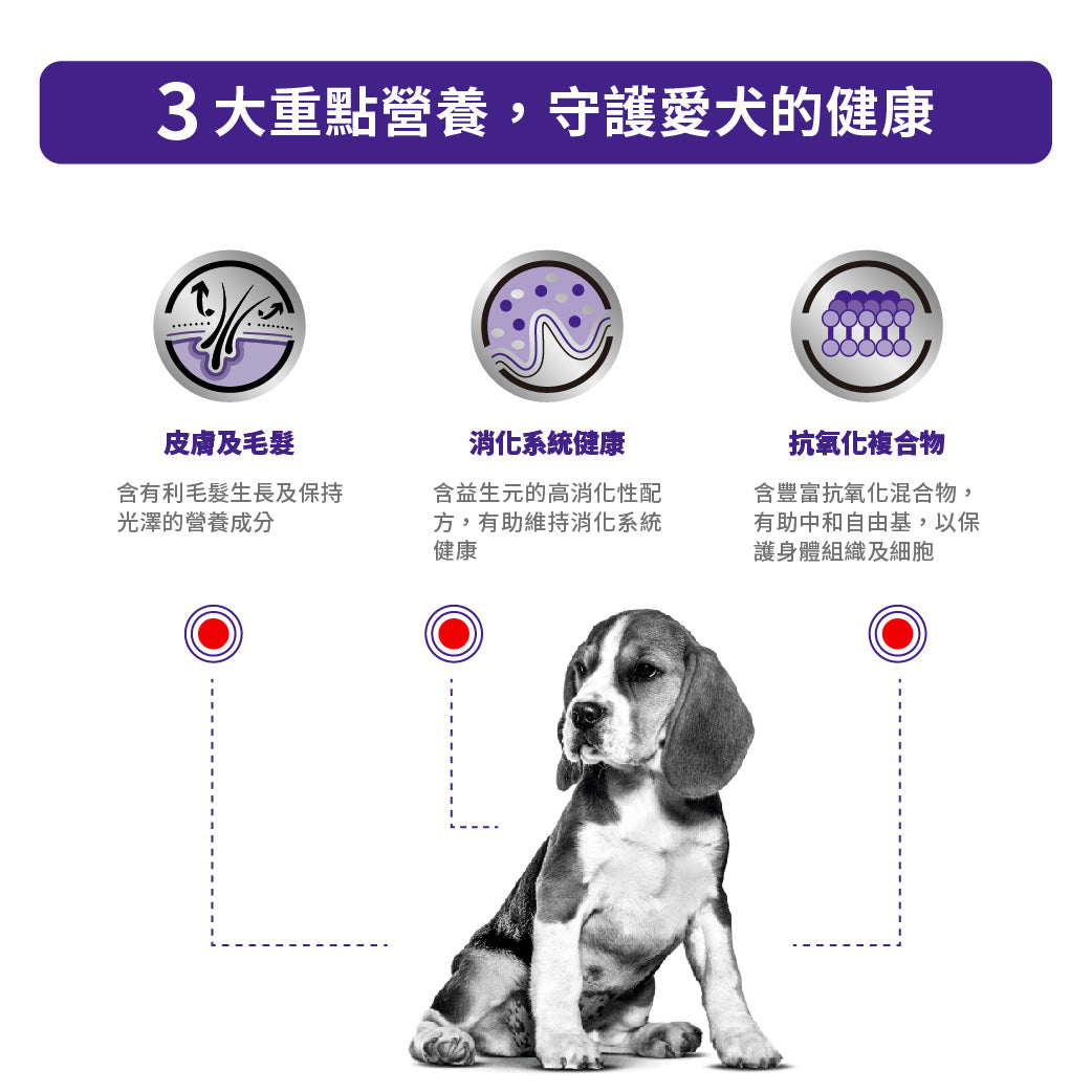 ROYAL CANIN-中型成犬健康管理處方糧 - VHN ADULT MEDIUM 4KG/10.KG