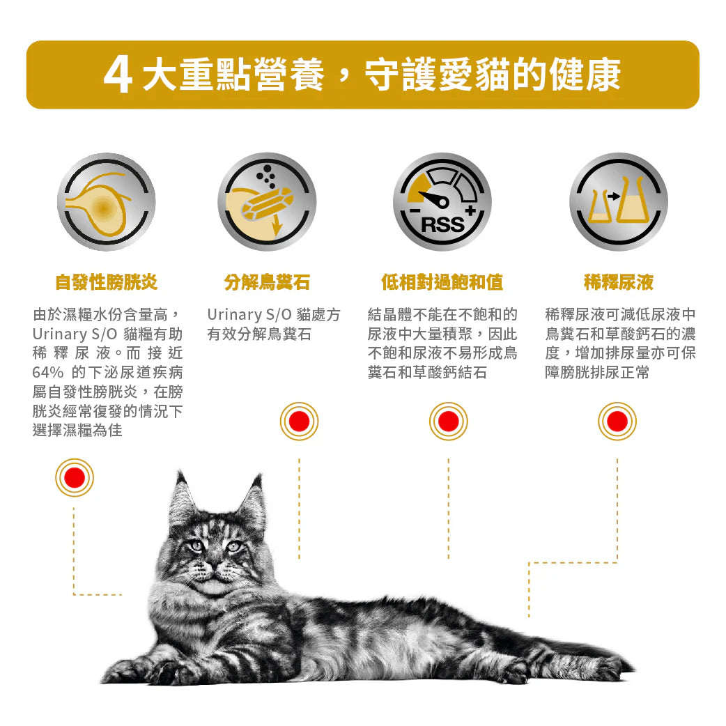 ROYAL CANIN - 成貓泌尿道處方濕糧(肉塊) 每包 85G /VHN URINARY S/O (LOAF)FOR CAT 85G