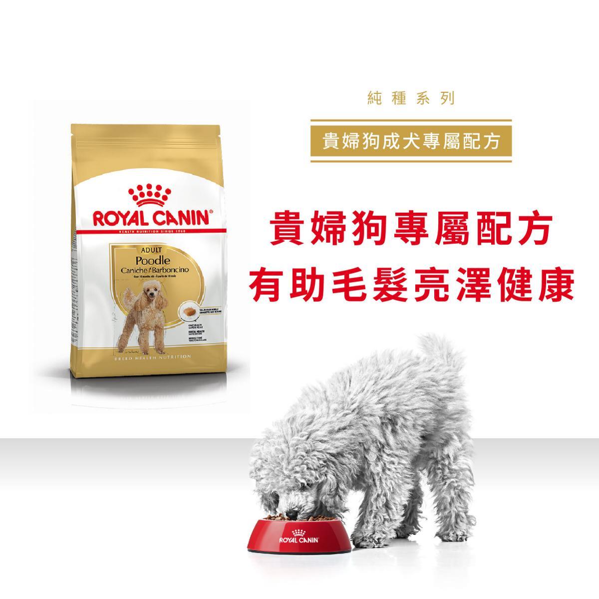 ROYAL CANIN 法國皇皇家 - BHN 貴婦狗成犬專屬配方狗糧 / BHN POODLE ADULT1.5KG,3KG,7.5KG