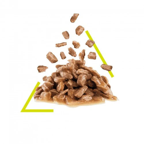 ROYAL CANIN 法國皇家 -貓感濕糧肉香營養主食系列 (肉汁) 每包85G / FHN SENSORY SMELL MORSELS IN GRAVY 貓感濕糧肉香營養主食系列 (肉汁) 85G