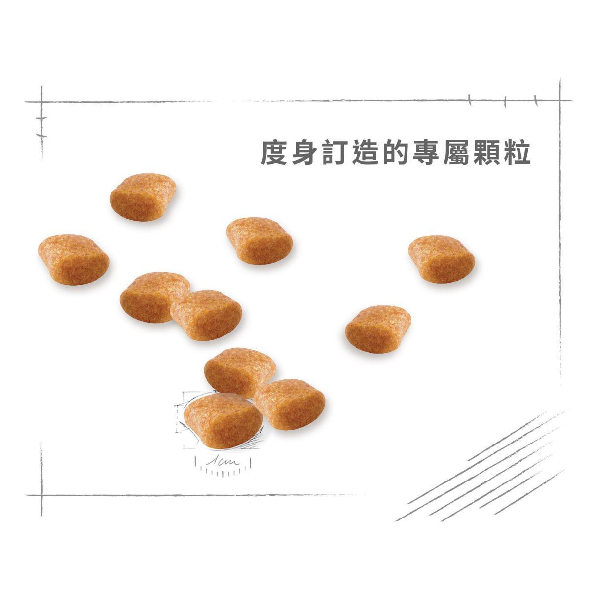ROYAL CANIN 法國皇皇家 - BHN 貴婦狗成犬專屬配方狗糧 / BHN POODLE ADULT1.5KG,3KG,7.5KG