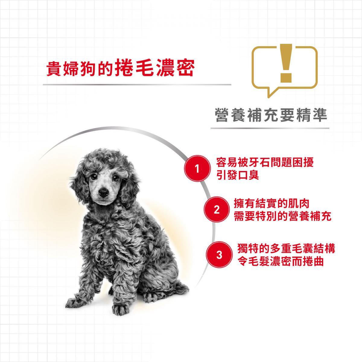 ROYAL CANIN 法國皇皇家 - BHN 貴婦狗成犬專屬配方狗糧 / BHN POODLE ADULT1.5KG,3KG,7.5KG