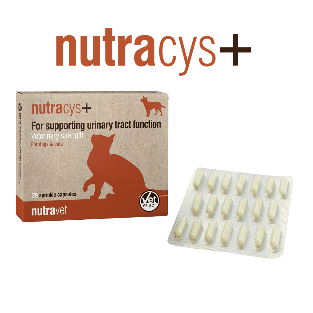 NUTRAVET NUTRACYS 促進泌尿道功能健康 營養膠囊 (貓狗合用) 每盒220粒膠囊