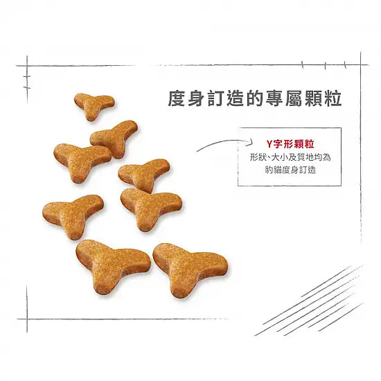 ROYAL CANIN 法國皇家貓乾糧 - 孟加拉豹貓成貓 / FBN BENGAL ADULT 2KG,10KG