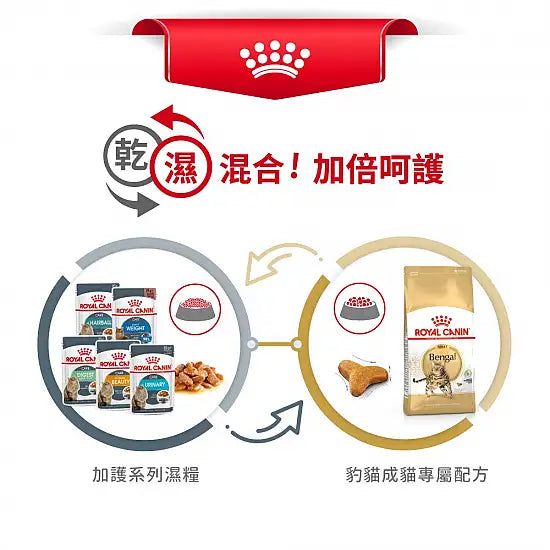 ROYAL CANIN 法國皇家貓乾糧 - 孟加拉豹貓成貓 / FBN BENGAL ADULT 2KG,10KG