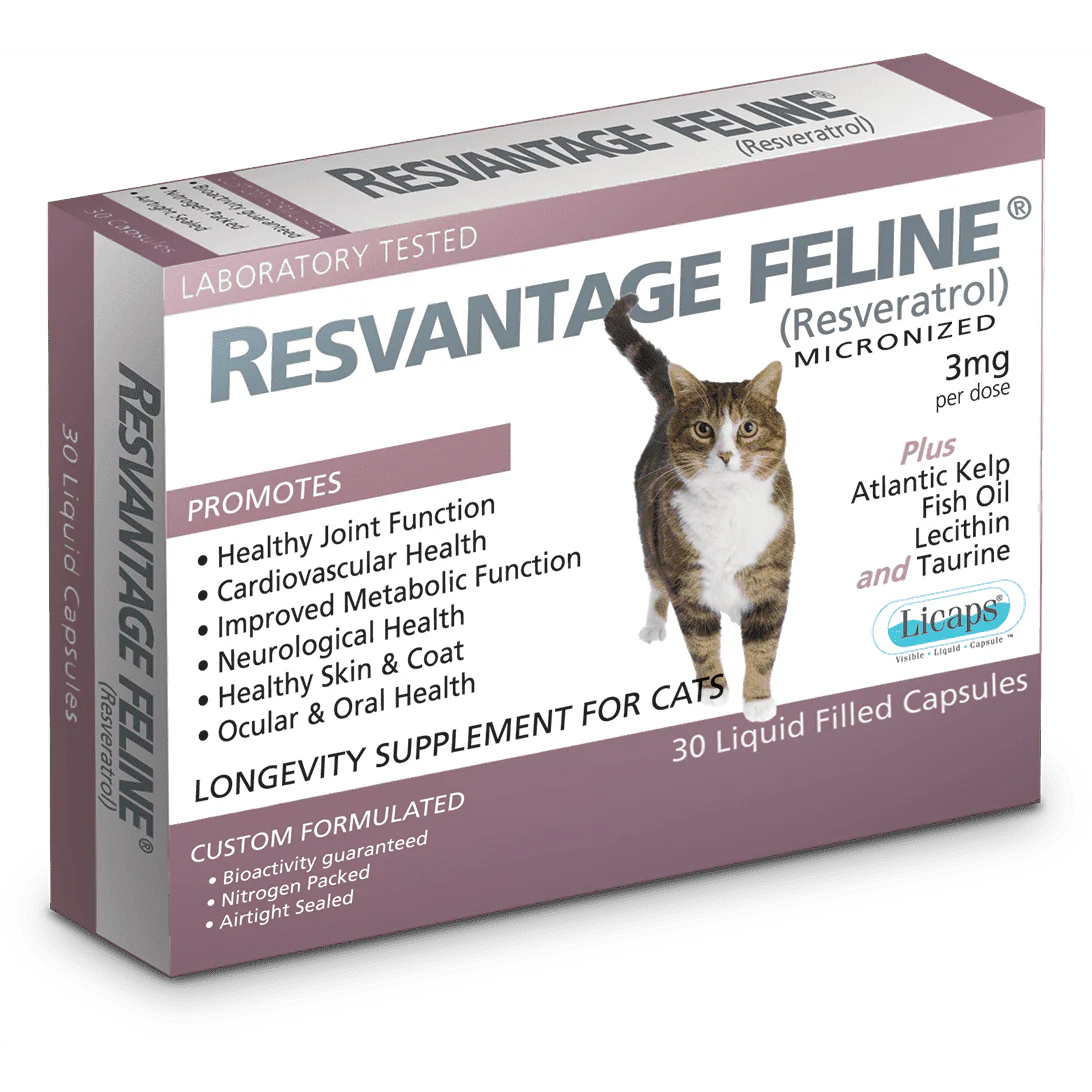 RESVANTAGE® 白藜蘆醇貓用保健品-老年及癌症貓配方(30粒裝)