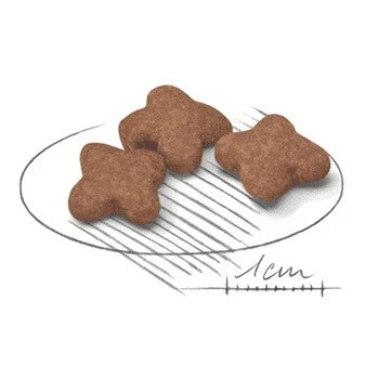 ROYAL CANIN 法國皇家老狗乾糧 - 小型成犬8+營養配方/ SHN MINI ADULT 8+ 2KG,8KG