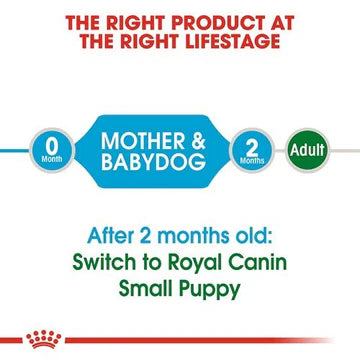 ROYAL CANIN 法國皇家狗乾糧 - 小型初生犬及母犬營養配方 DOG MINI STARTER DRY 3KG