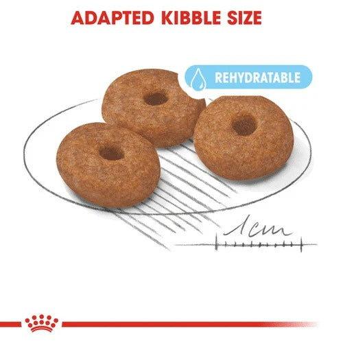 ROYAL CANIN 法國皇家老狗乾糧 - 室內小型老犬營養配方/SHN MINI INDOOR SENIOR 1.5KG,3KG