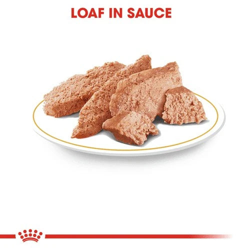 ROYAL CANIN 法國皇家狗濕糧 - 貴婦狗成犬專屬配方 每包(肉塊) 85G/ BHN POODLE ADULT DOG(LOAF) 85G