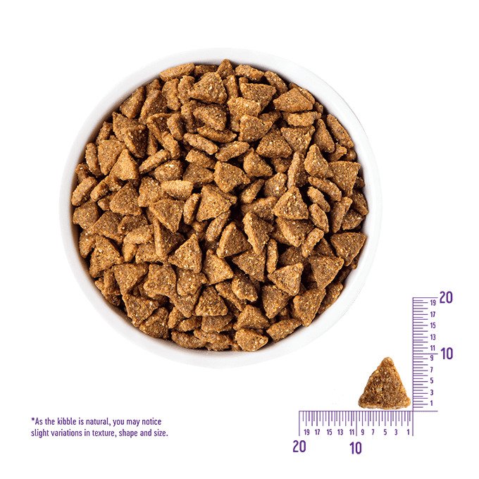Wellness Complete Health - 小型成犬火雞燕麥配方4lb (004134)