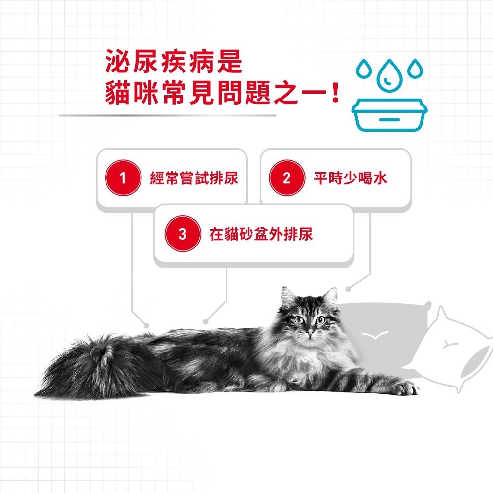 Royal Canin 法國皇家貓乾糧 - 成貓泌尿道加護配方 / FCN URINARY CARE 2KG,4KG,10KG