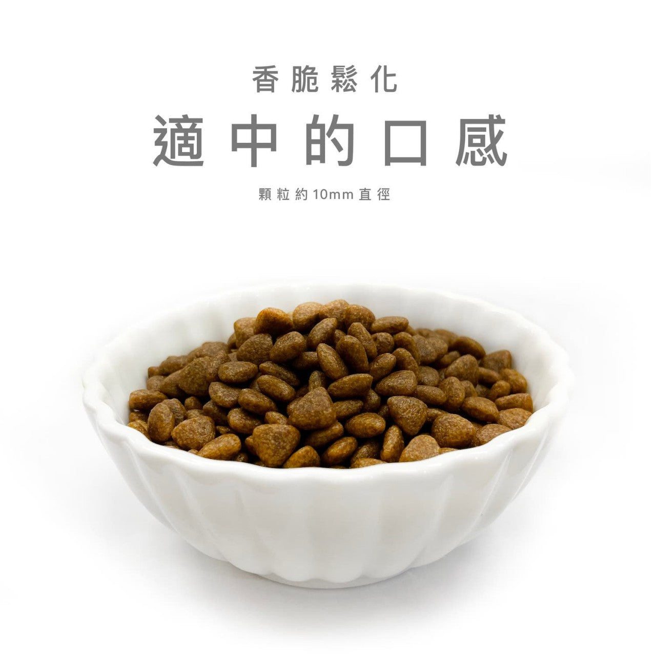 SNOOPET γ – 鮮鴨肉、紅參、蔬菜 (低油健美有機全犬配方) 1kg (007380)