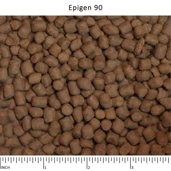 Wysong威森 - EPIGEN 90 - 63%蛋白無澱粉貓犬糧5lb (007482)