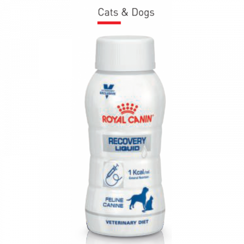 ROYAL CANIN-(ICU重症營養補給) 促進恢復處方 單支200ML VD DOG/CAT RECOVERY LIQUID 200ML