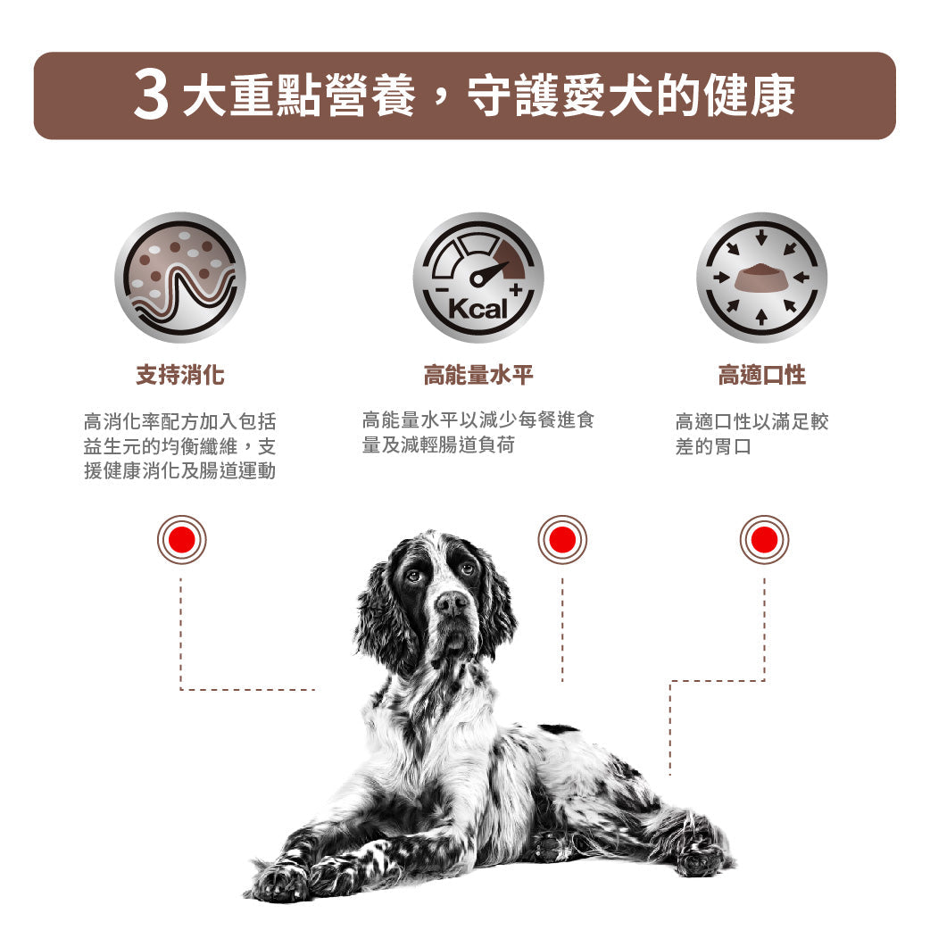 ROYAL CANIN - 成犬腸胃處方濕糧罐頭 單罐 400G / CANINE GASTRO INTESTINAL CAN 400G