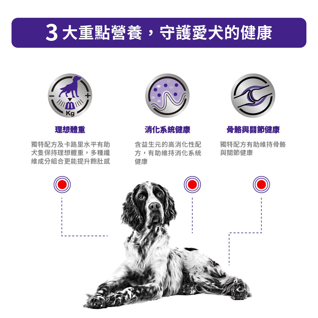 ROYAL CANIN - 大型老年犬處方糧 14KG MATURE CONSULT LARGE DOG 14KG