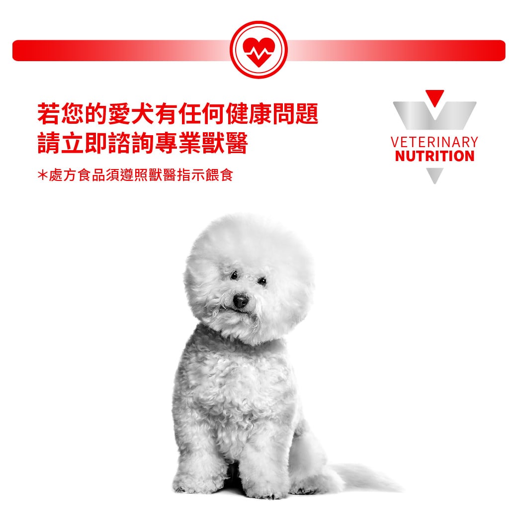 ROYAL CANIN - 成犬腎臟處方濕糧 (每包) 100G/CANINE RENAL POUCH BAG 100G