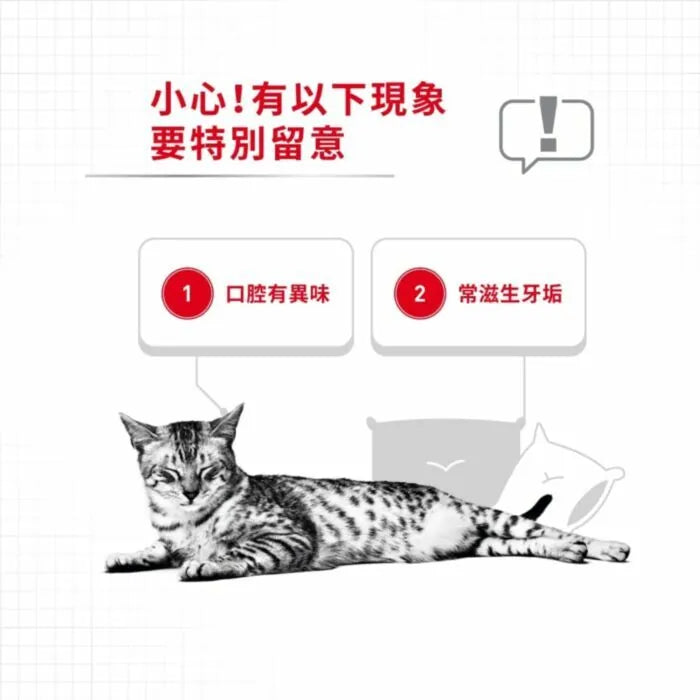 ROYAL CANIN 法國皇家貓乾糧 - 成貓高效潔齒加護配方 FCN DENTAL CARE 1.5kg / 3.5kg / 8kg