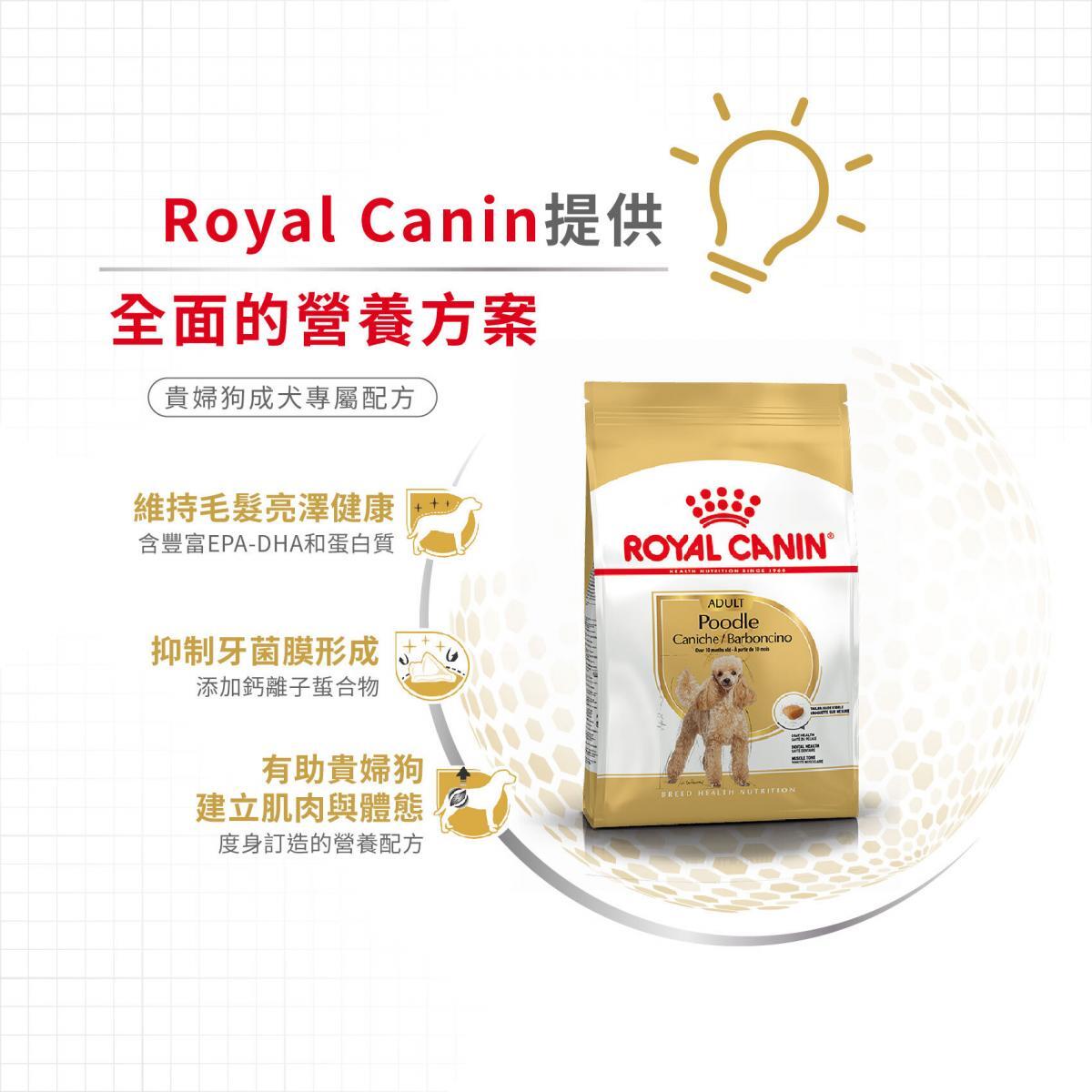 ROYAL CANIN 法國皇皇家 - BHN 貴婦狗成犬專屬配方狗糧  / BHN POODLE ADULT1.5KG,3KG,7.5KG