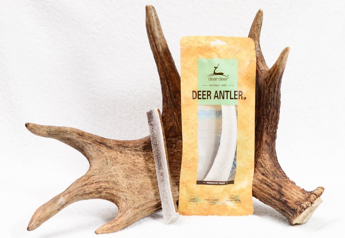Dear Deer - Deer Antler鹿角(L) 1pc (000460)