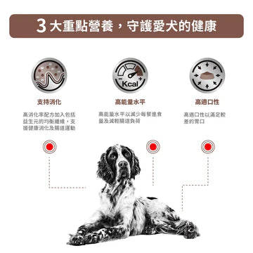 ROYAL CANIN - 成犬腸胃處方糧 - VHN GASTROINTESTINAL FOR DOGS 2KG/7.5KG