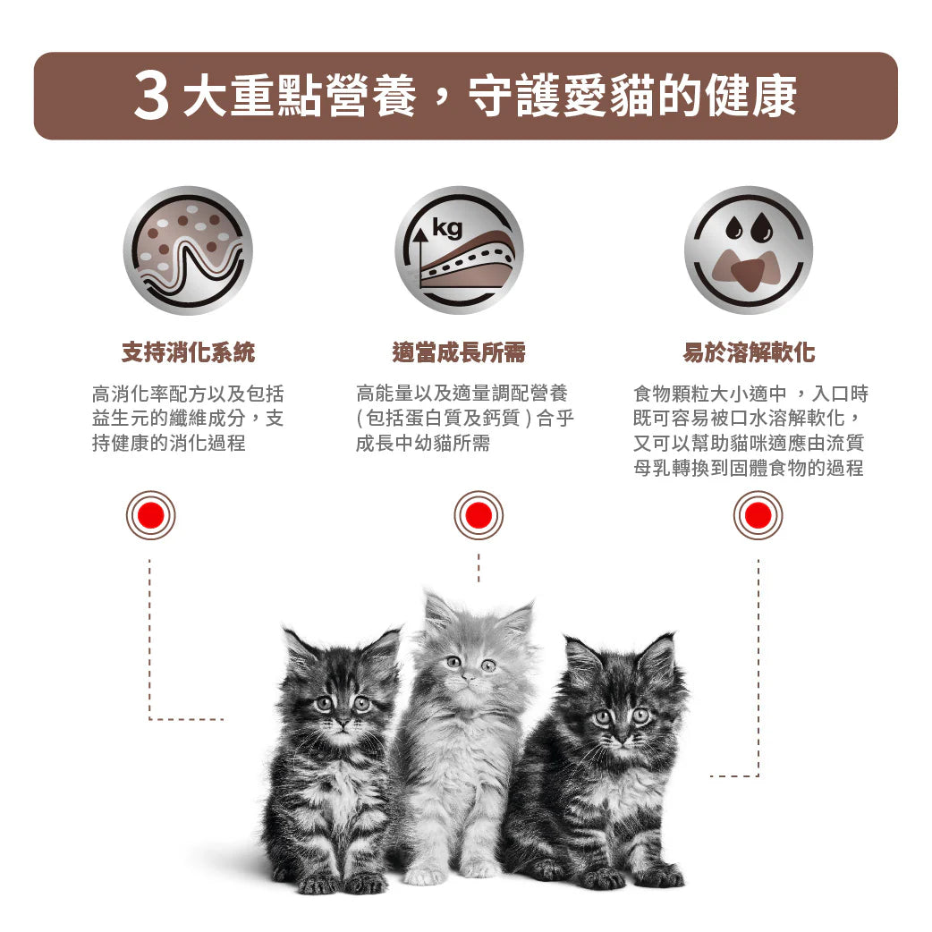 ROYAL CANIN - 幼貓腸胃處方糧 -  FELINE GASTRO INTESTINAL KITTEN 400G/2KG