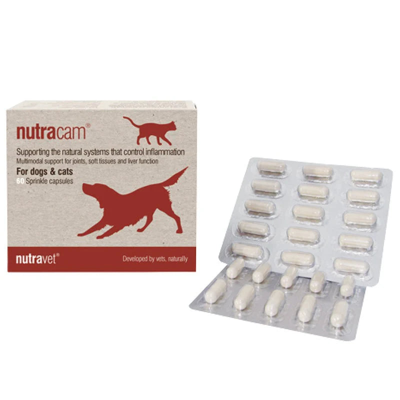 NUTRAVET NUTRAMED(舊名NUTRACAM)對抗炎症 支援身體系統正常運作 營養膠囊 (貓狗合用) 每盒60粒膠囊