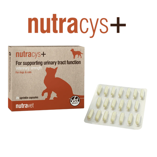 NUTRAVET NUTRACYS 促進泌尿道功能健康 營養膠囊 (貓狗合用) 每盒220粒膠囊