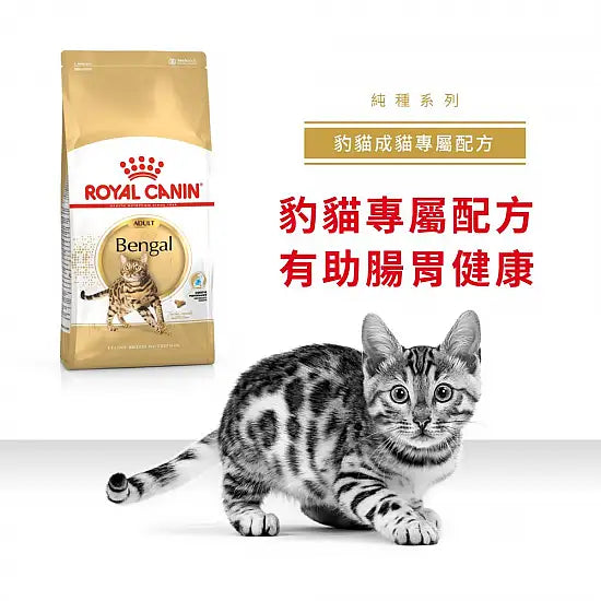 ROYAL CANIN 法國皇家貓乾糧 - 孟加拉豹貓成貓  / FBN BENGAL ADULT 2KG,10KG