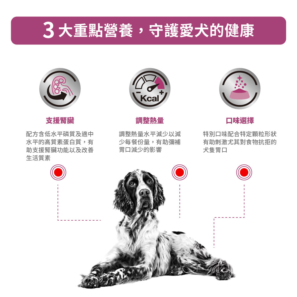 ROYAL CANIN - 成犬腎臟處方罐頭 單罐 410G / CANINE RENAL CAN 410G