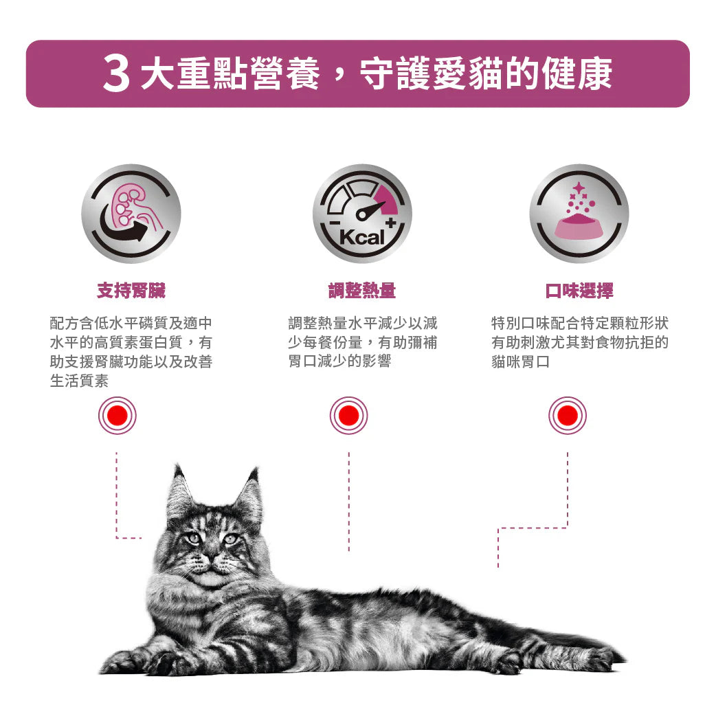 ROYAL CANIN - 成貓腎臟處方濕糧( 肉塊）每包 85G / VHN RENAL  LOAF POUCH 85G