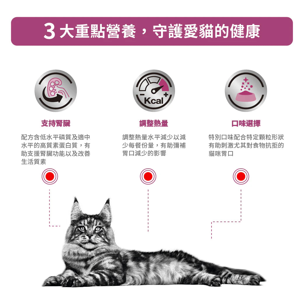 ROYAL CANIN - 成貓腎臟處方糧 - VHN RENAL DRY FOOD FOR CATS 400G/2KG/4KG