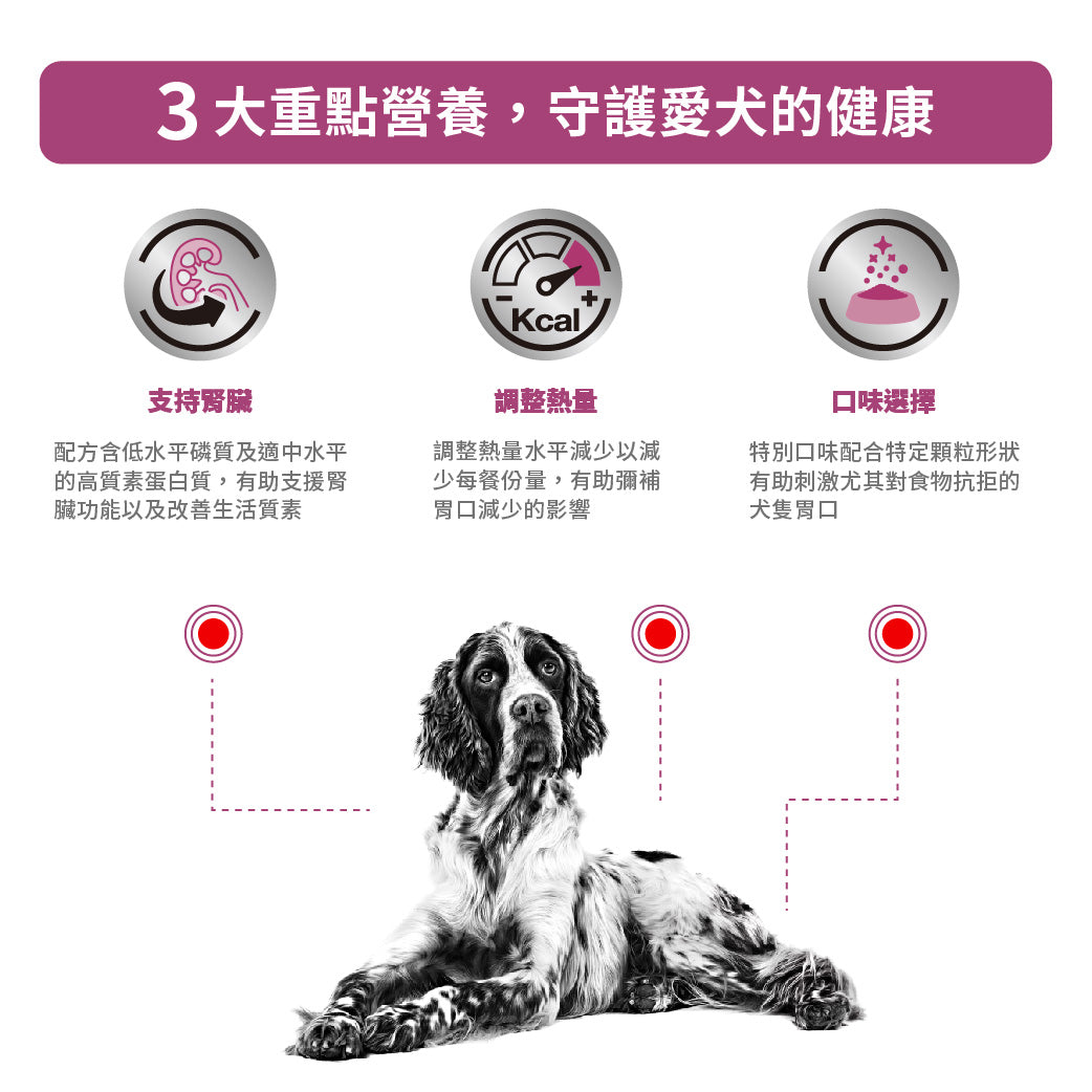 ROYAL CANIN - 成犬腎臟嗜口性處方糧 - VHN RENAL SPECIAL  FOR DOG 2KG