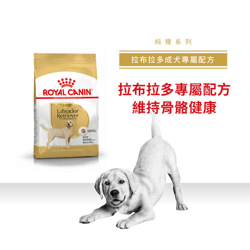 Royal Canin 純種系列狗乾糧 – 拉布拉多成犬專屬配方 / BHN LARBRADOR RETRIEVER ADULT (12kg)