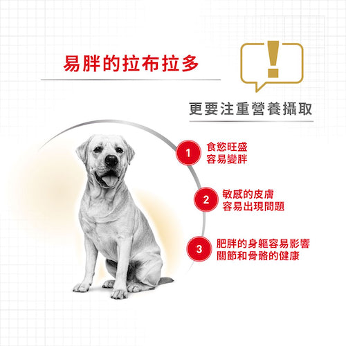 Royal Canin 純種系列狗乾糧 – 拉布拉多成犬專屬配方 / BHN LARBRADOR RETRIEVER ADULT (12kg)