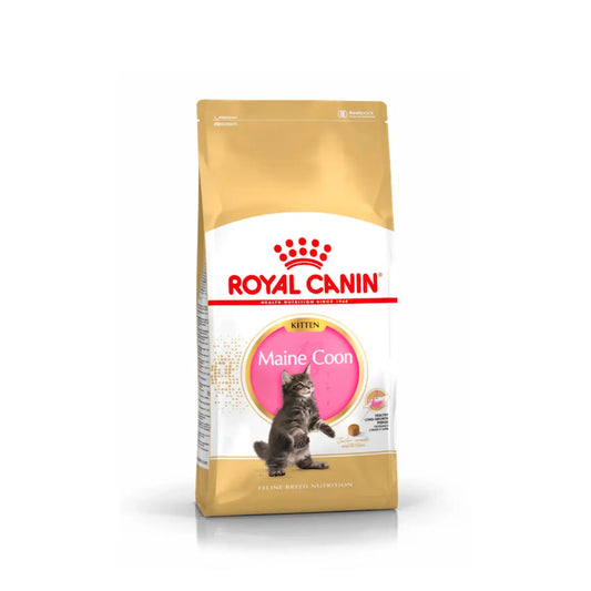 ROYAL CANIN 法國皇家－緬因幼貓專屬配方 / FBN MAINE COON KITTEN 10KG