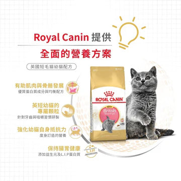 ROYAL CANIN 法國皇家幼貓乾糧 - 英國短毛幼貓 / FBN BRITISH SHORTHAIR KITTEN 2KG,10KG