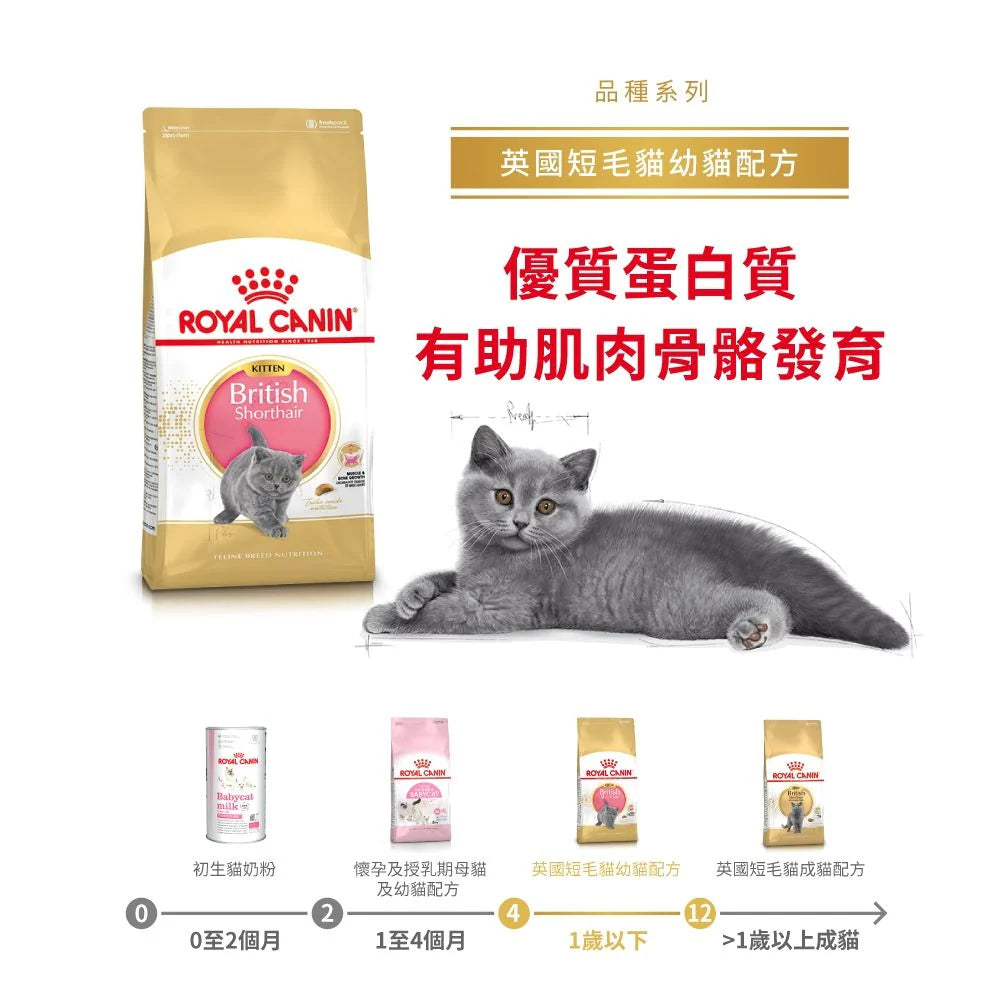 ROYAL CANIN 法國皇家幼貓乾糧 - 英國短毛幼貓 / FBN BRITISH SHORTHAIR KITTEN 2KG,10KG