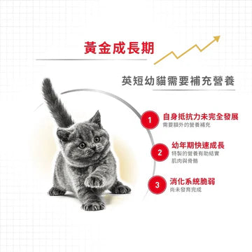 ROYAL CANIN 法國皇家幼貓乾糧 - 英國短毛幼貓 / FBN BRITISH SHORTHAIR KITTEN 2KG,10KG