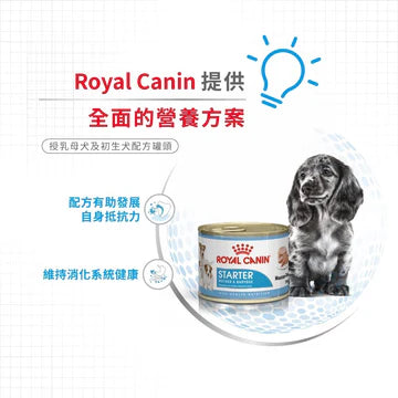 ROYAL CANIN 法國皇家狗濕糧 - 授乳母犬及初生犬 (慕斯) 單罐 195G