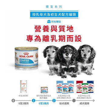 ROYAL CANIN 法國皇家狗濕糧 - 授乳母犬及初生犬 (慕斯) 單罐 195G