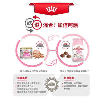 ROYAL CANIN 法國皇家貓濕糧 - 離乳母貓及初生貓(肉塊)配方 單罐 195G / CAT MOTHER & BABYCAT WET 195G