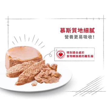 ROYAL CANIN 法國皇家貓濕糧 - 離乳母貓及初生貓(肉塊)配方 單罐 195G / CAT MOTHER & BABYCAT WET 195G