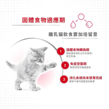 ROYAL CANIN 法國皇家貓濕糧 - 離乳母貓及初生貓(肉塊)配方 單罐 195G / CAT MOTHER & BABYCAT WET 195G