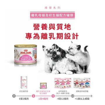 ROYAL CANIN 法國皇家貓濕糧 - 離乳母貓及初生貓(肉塊)配方 單罐 195G / CAT MOTHER & BABYCAT WET 195G