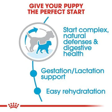 ROYAL CANIN 法國皇家狗乾糧 - 小型初生犬及母犬營養配方 DOG MINI STARTER DRY 3KG
