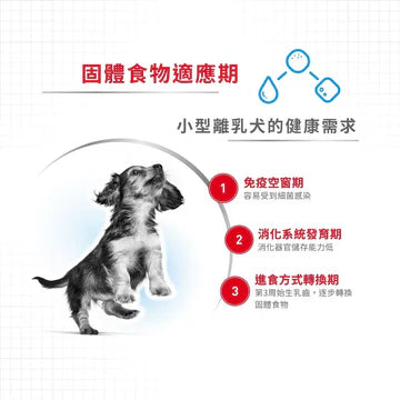 ROYAL CANIN 法國皇家狗乾糧 - 小型初生犬及母犬營養配方 DOG MINI STARTER DRY 3KG