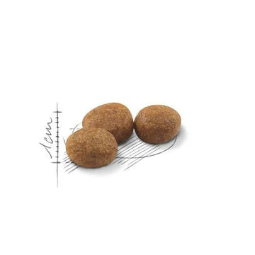 ROYAL CANIN 法國皇家貓乾糧 - 絕育成貓營養配方/ FHN REGULAR STERILISED 2KG, 4KG,10KG