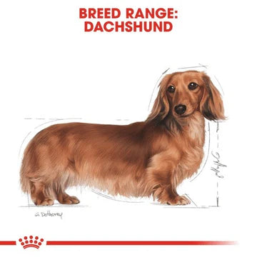 ROYAL CANIN 法國皇家狗乾糧 - 臘腸狗成犬專屬配方 DACHSHUND ADULT 1.5KG